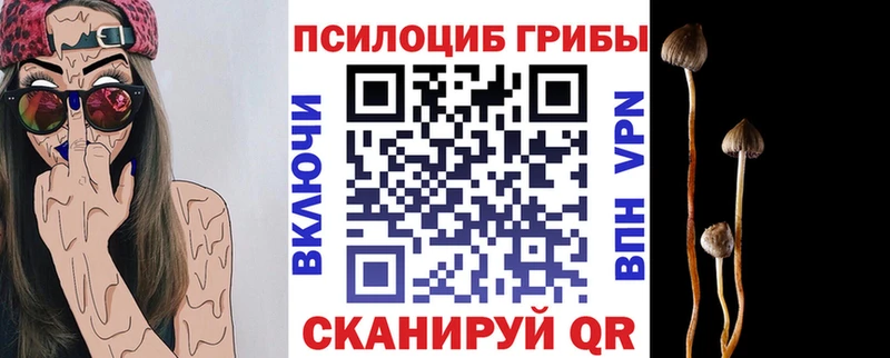Псилоцибиновые грибы прущие грибы  Купить  Белый 